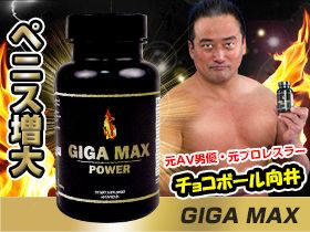 ギガマックスパワー|あんしん通販マート