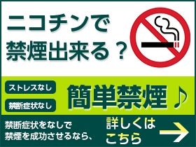 ニコレット類｜あんしん通販マート